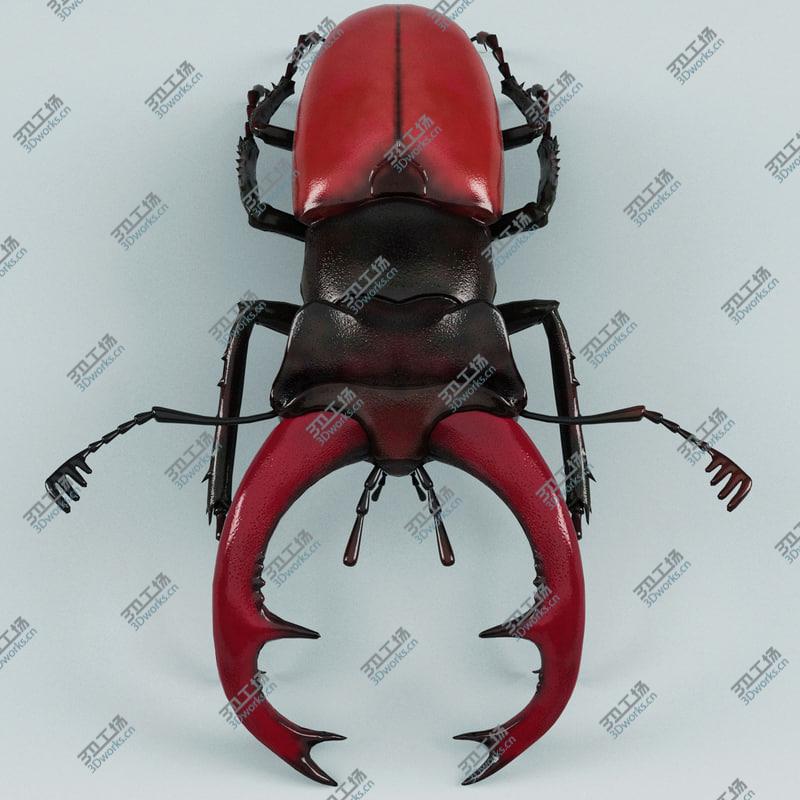 images/goods_img/202104022/Insects Collection V6/3.jpg